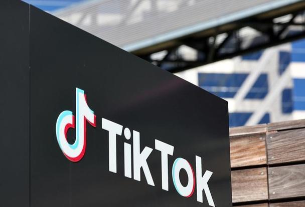 How TikTok's Platform Fosters Global Collaboration 